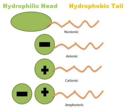 SURFACTANT TYPES